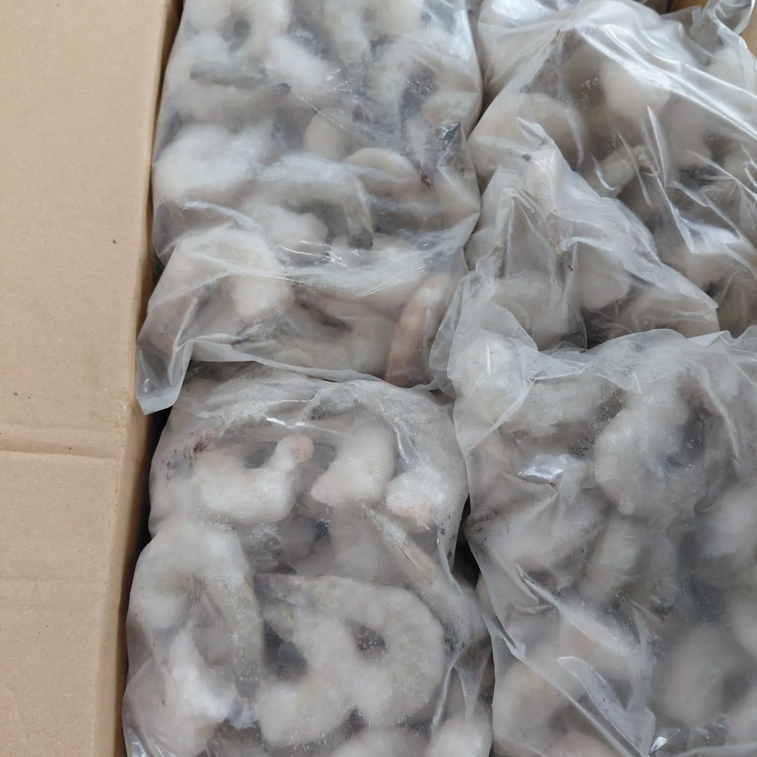 UDANG PTO VANAMAEI SIZE 10-20