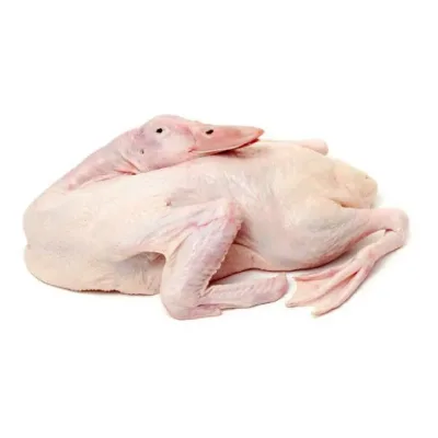 BEBEK PEKING SIZE 2,4 KG/ EKOR